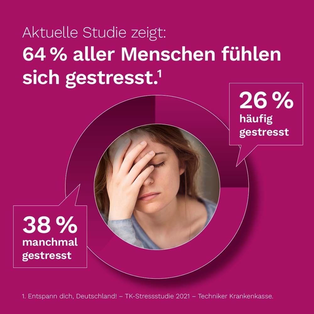 DR. KOLL Nerven Plus