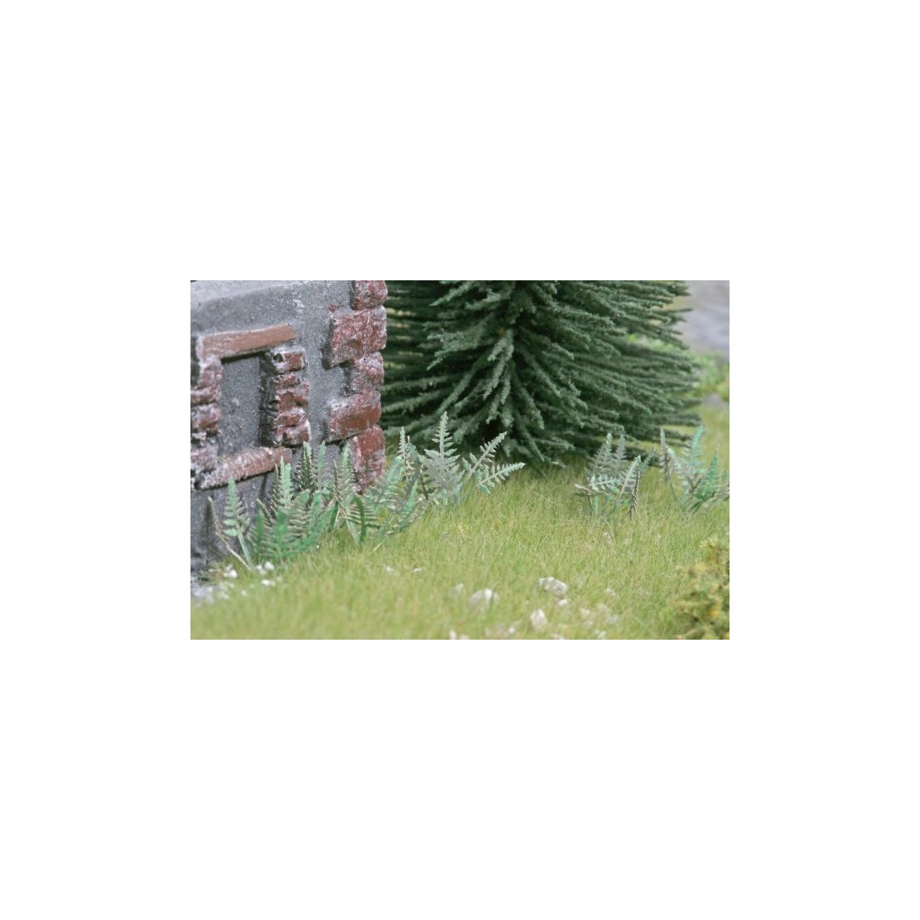 Ziterdes: Fern (9pcs.)