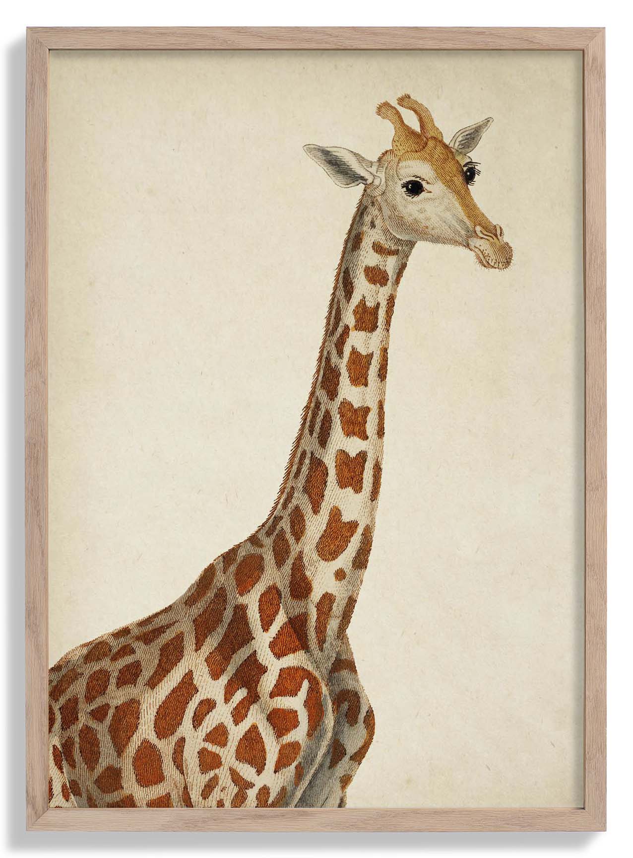 Antike Giraffe