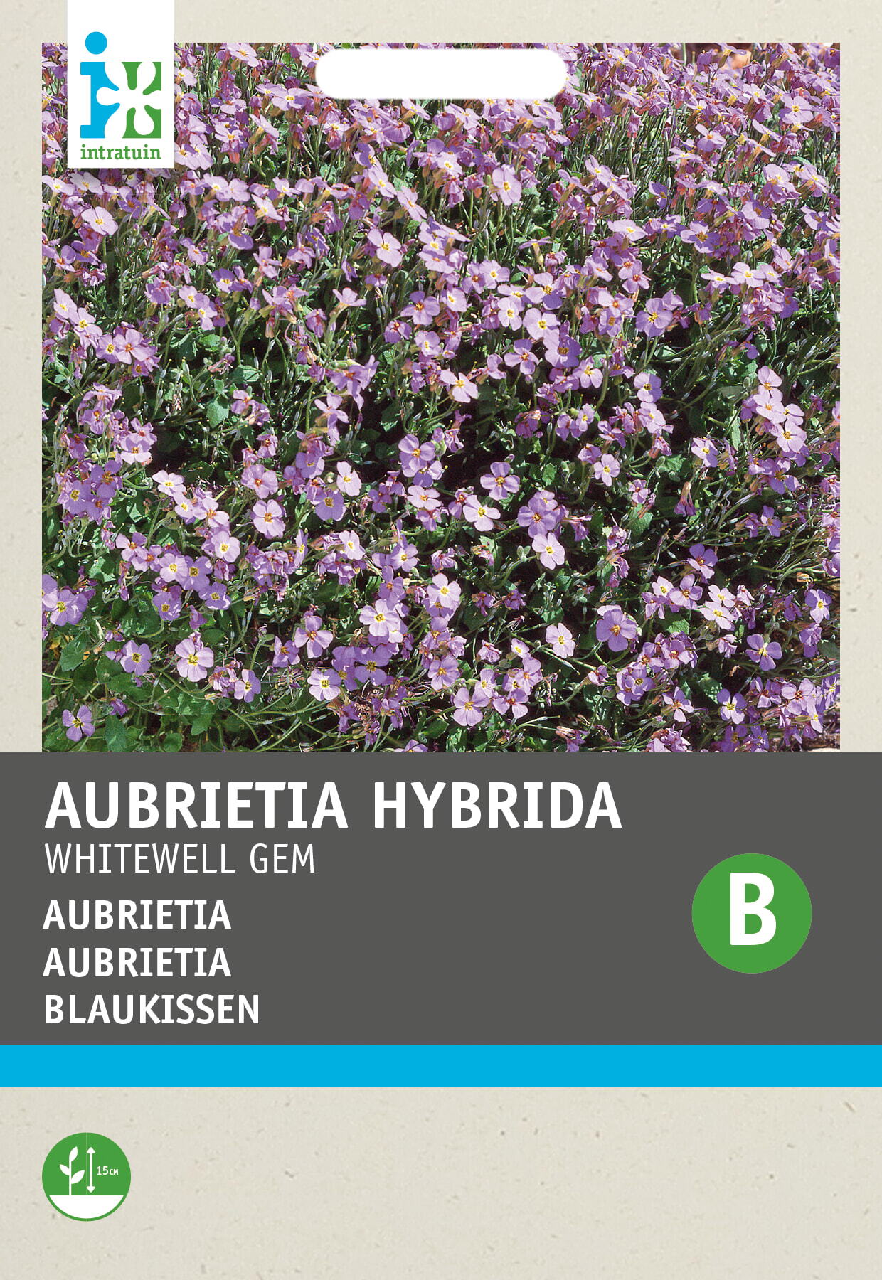 Intratuin bloemenzaad Aubrietia paars (Aubrietia hybrida 'Whitewell')