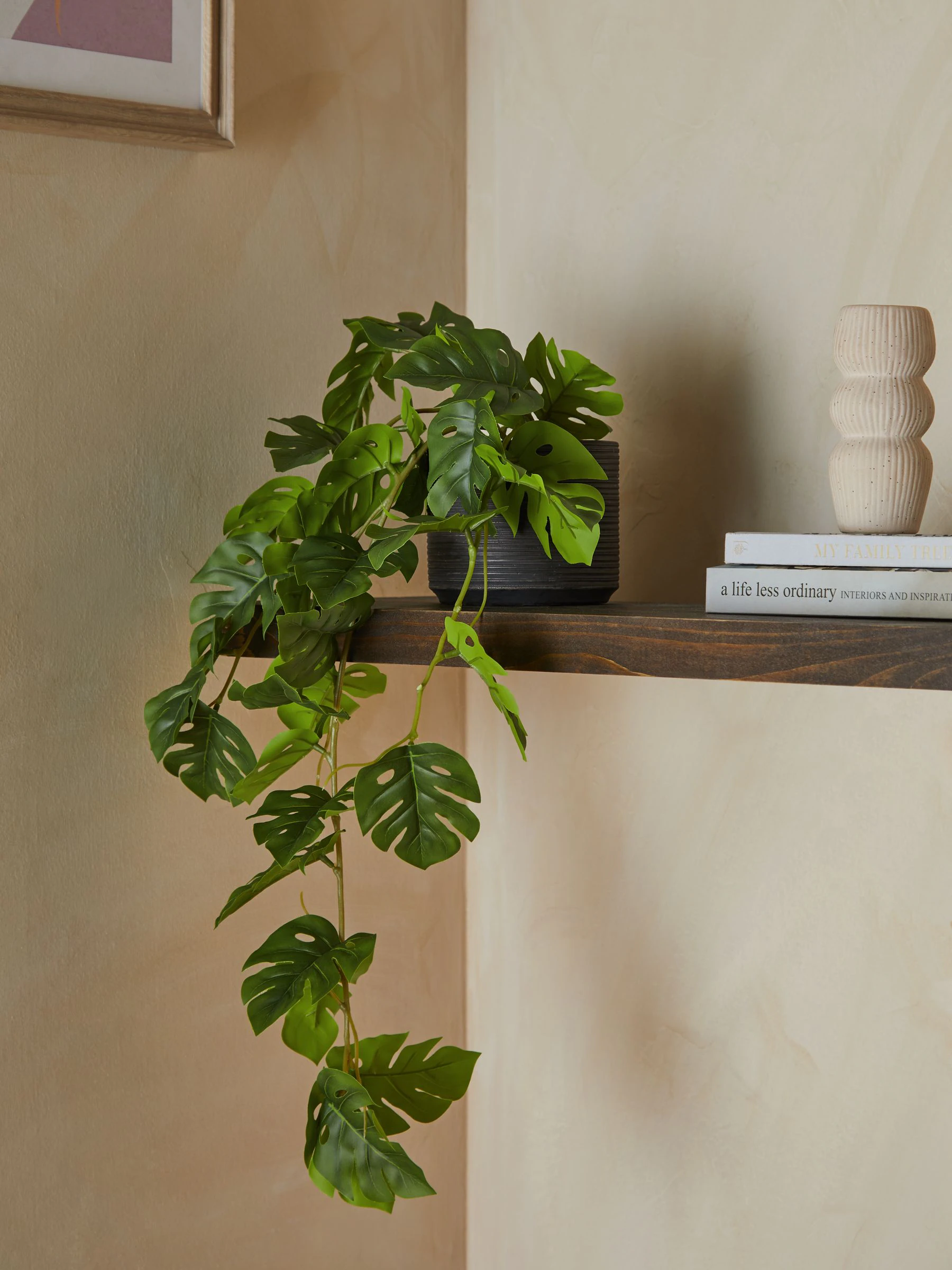 Monstera-kunsthangplant