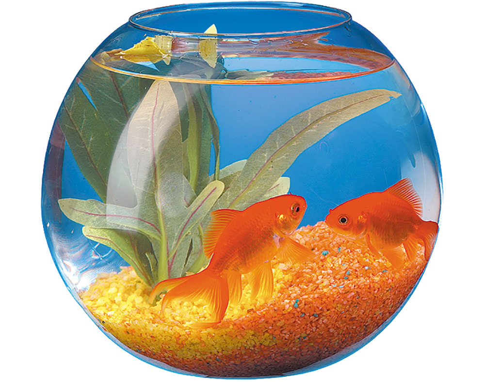 GLOBO DE VIDRO AQUAPOR 3L