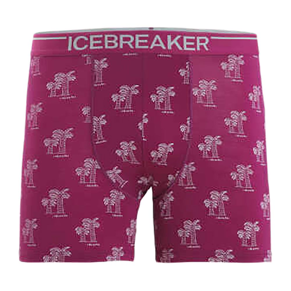 Icebreaker ANATOMICA - Boxer Homme go berry/aop