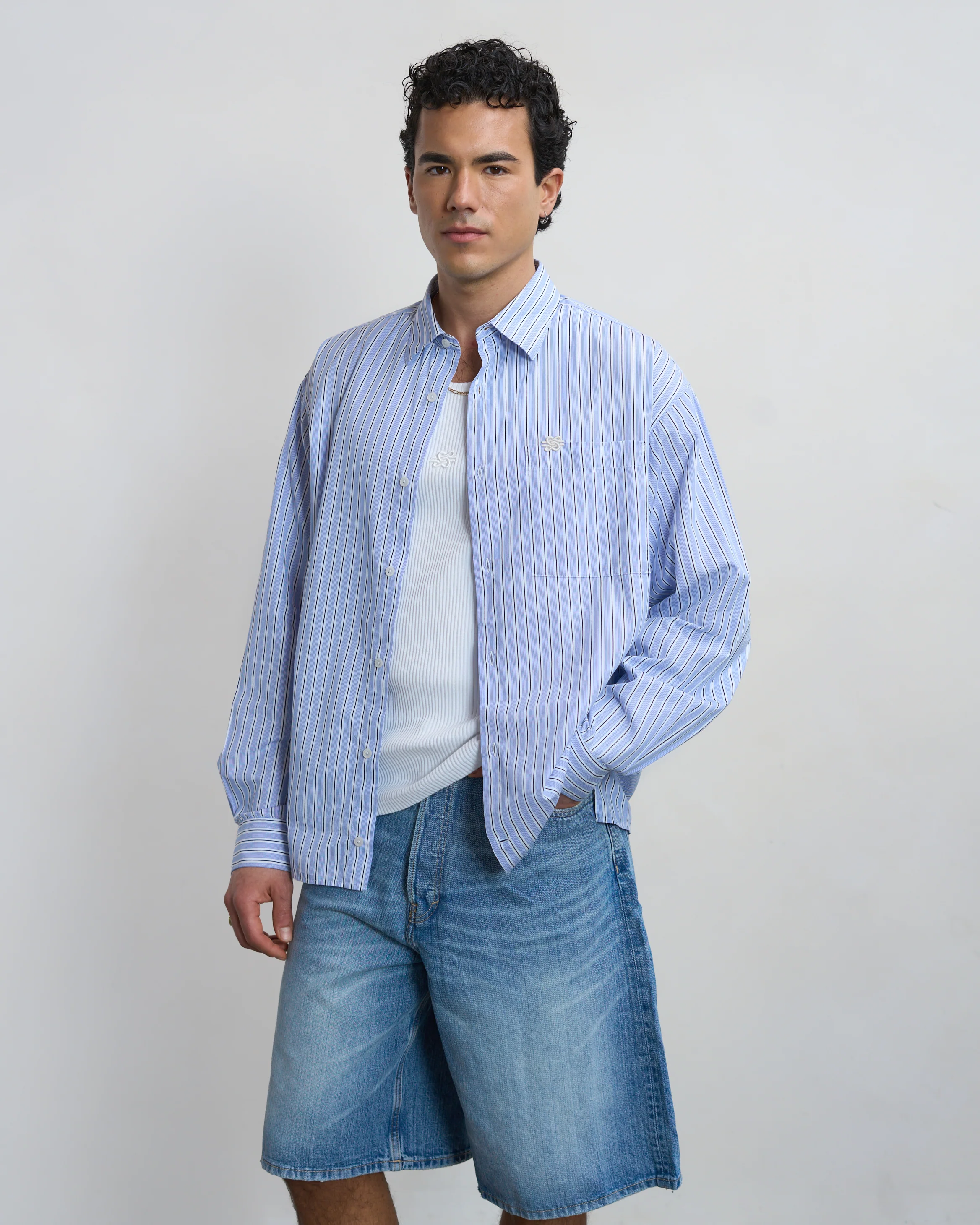 Dress Shirt Striped Skyway