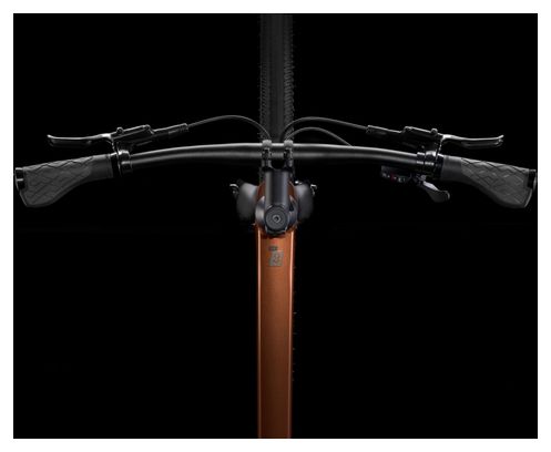 Vélo Fitness Trek Dual Sport 3 Shimano CUES 10V 27.5'' Marron Gén 5
