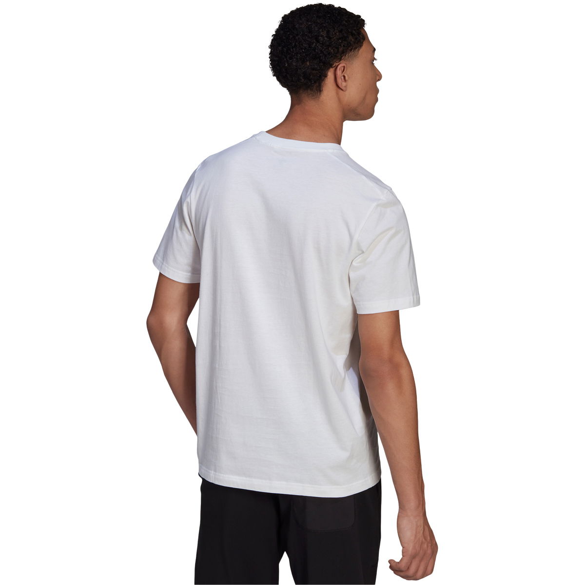 adidas Terrex Logo T-shirt Herre