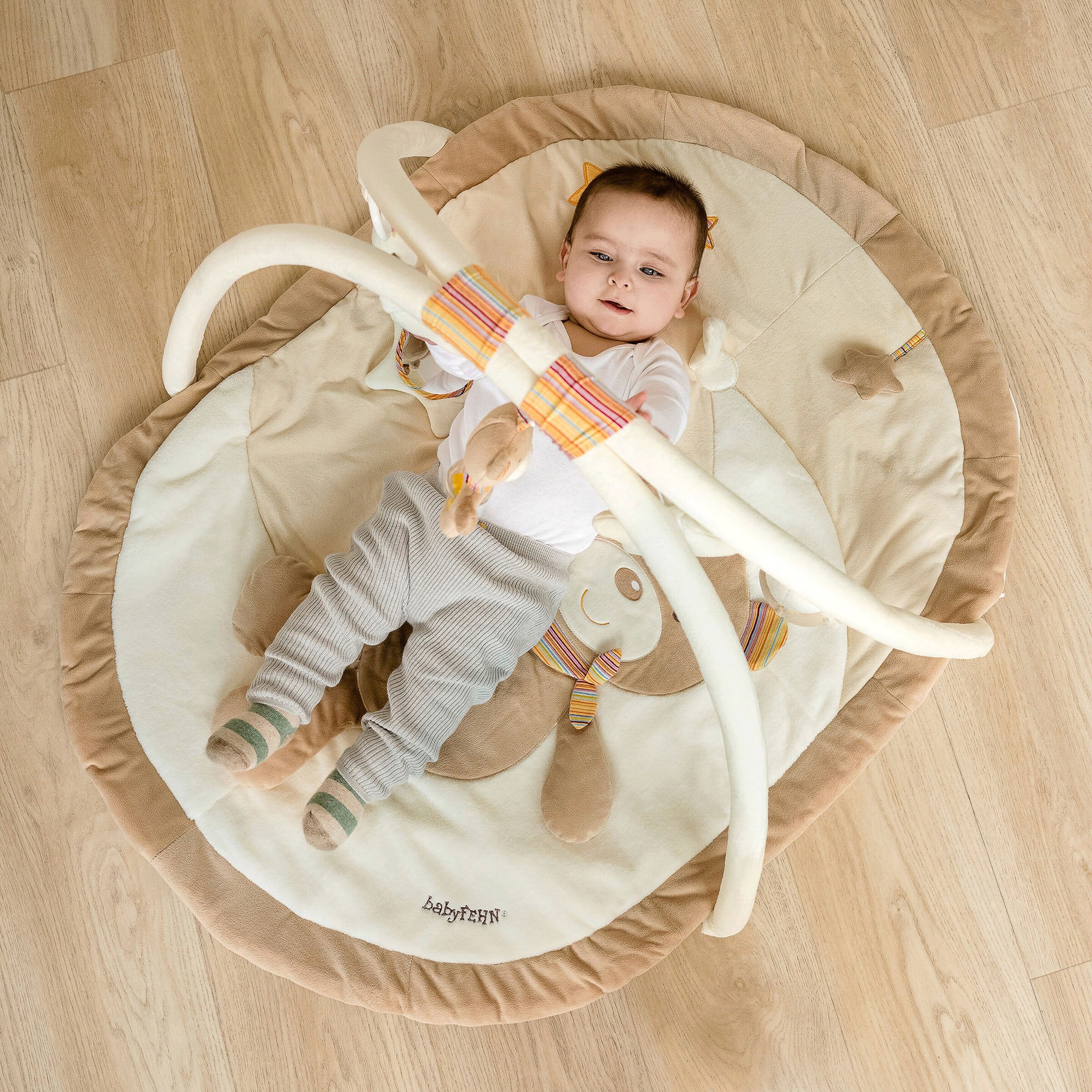 Fehn Spielbogen mit 3-D-Activity-Decke Teddy Rainbow
