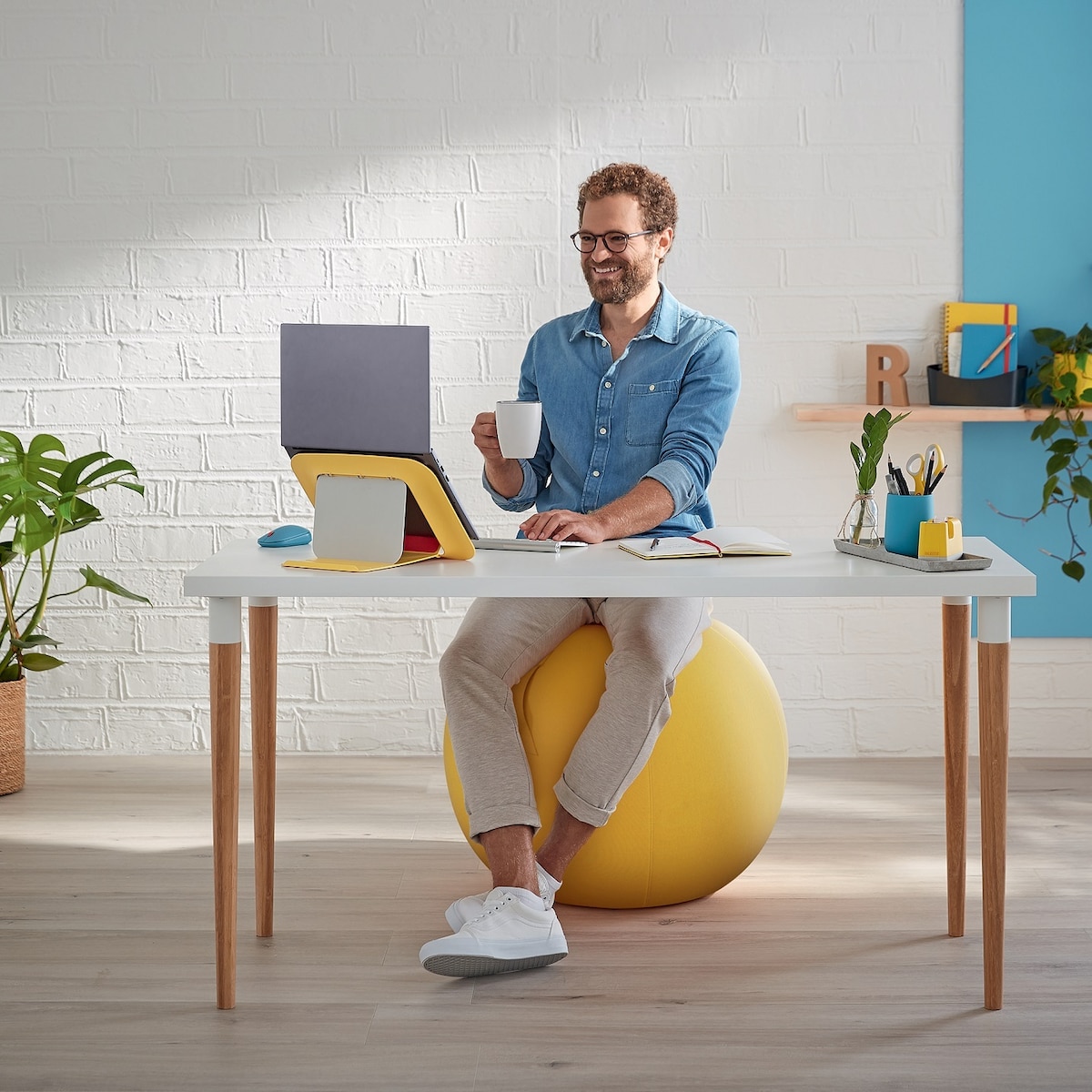 Leitz Ergo Cosy aktiv balanseball