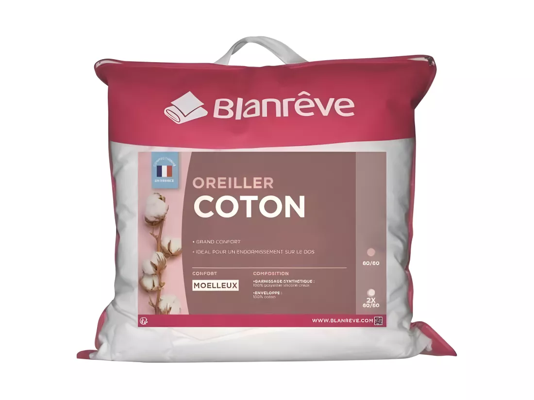 BLANREVE Lot de 2 Oreillers en coton - 60 x 60 cm - Blanc