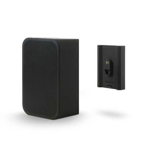 Koop Bluesound BP100 Accu | 5 Jaar Garantie Zwart