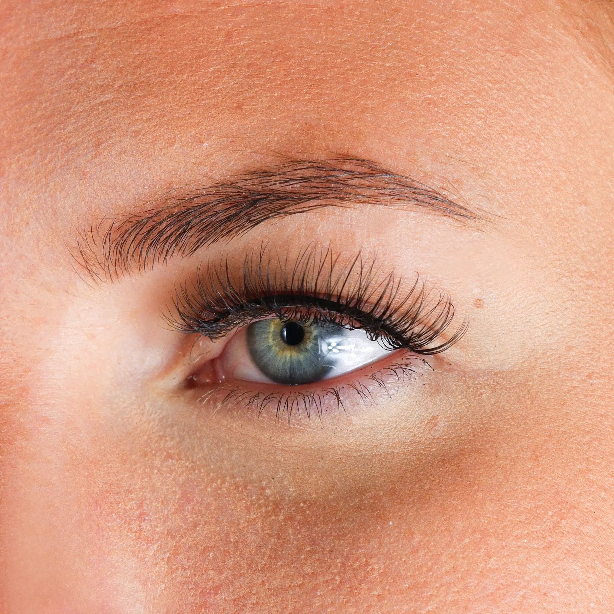 Lashes Ayleen