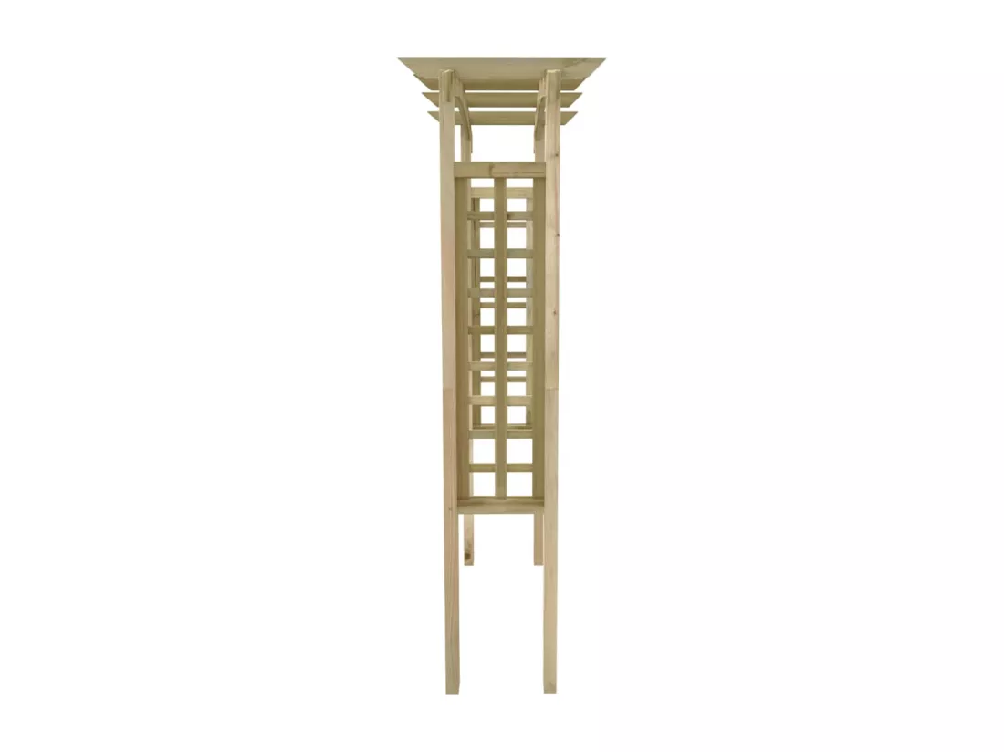 Voûte en treillis 150x60x210 cm Bois