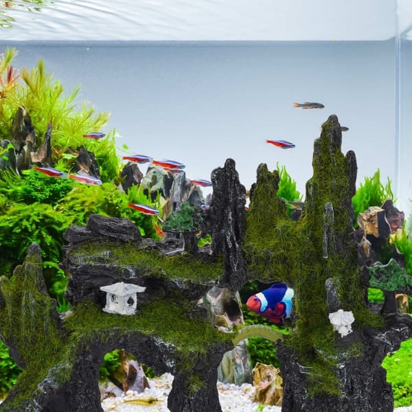 Akvarium dekorasjon, akvarium tilbehør stein