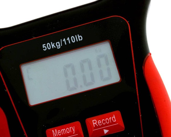 Balance Numérique Flottante Rozemeijer avec Thermomètre (50kg/110lb)