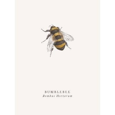 Bumble Bee