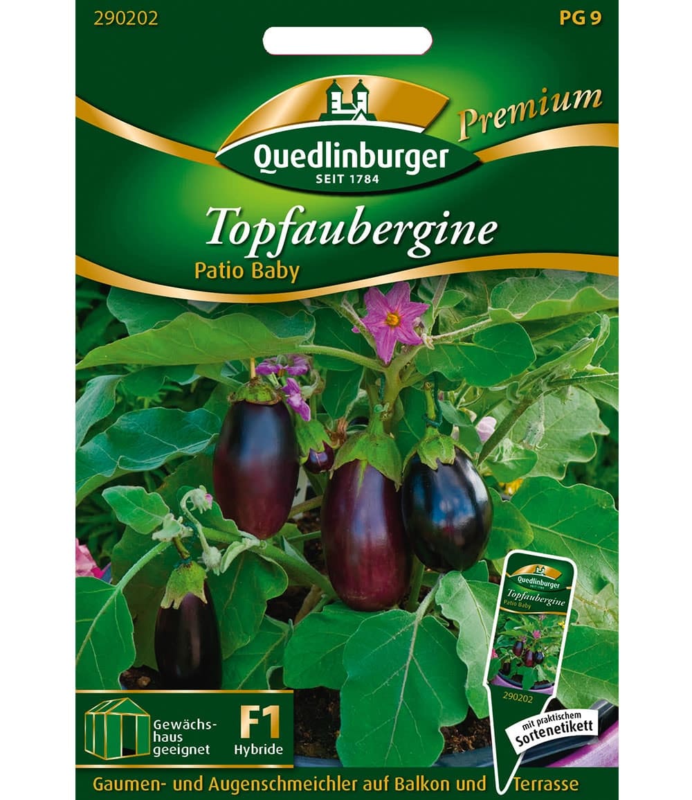 Topf-Aubergine 'Patio Baby' F1