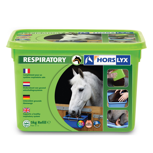 Horslyx Liksteen