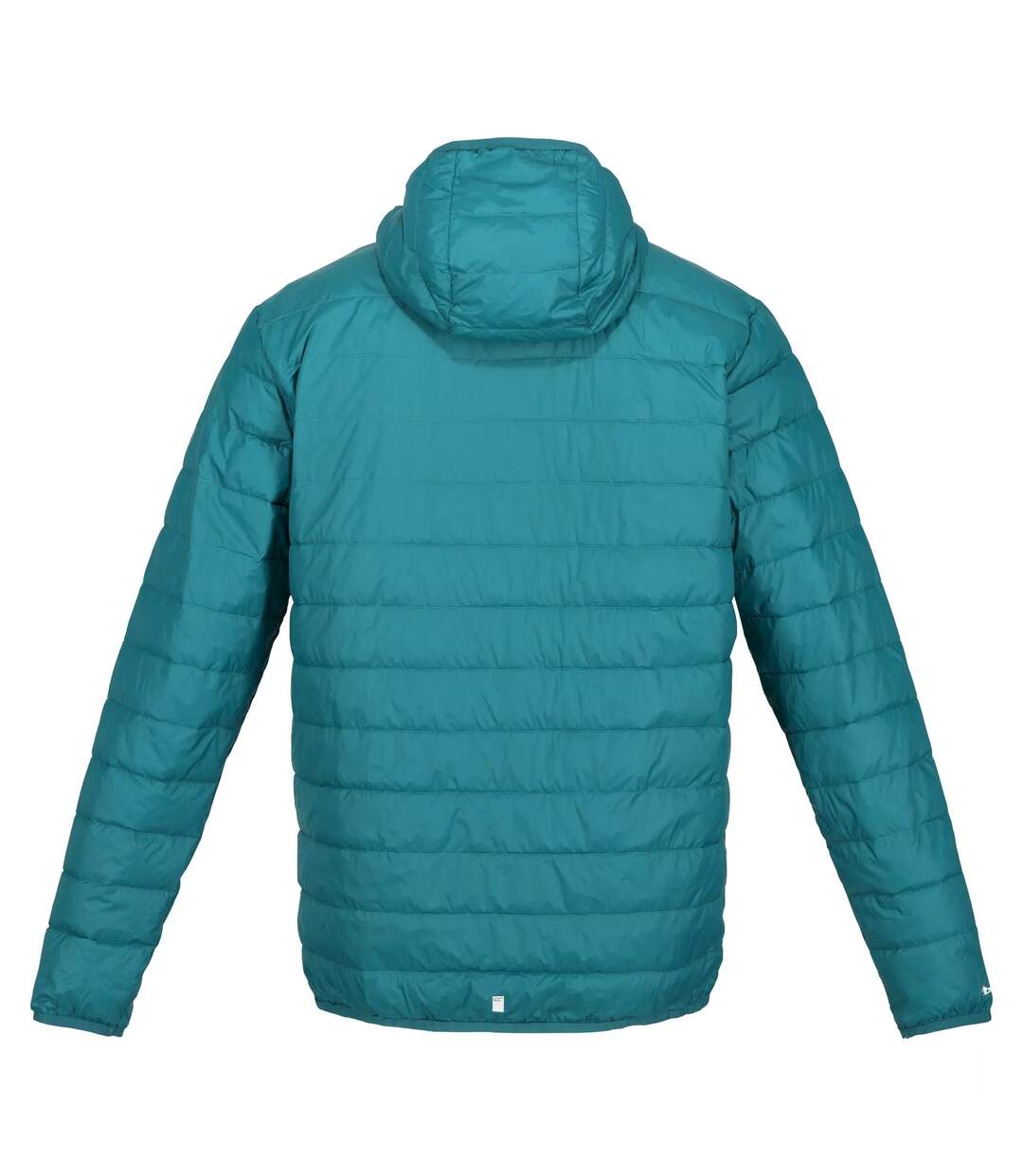 Regatta - Veste HILLPACK - Homme (Sarcelle) - UTRG8445