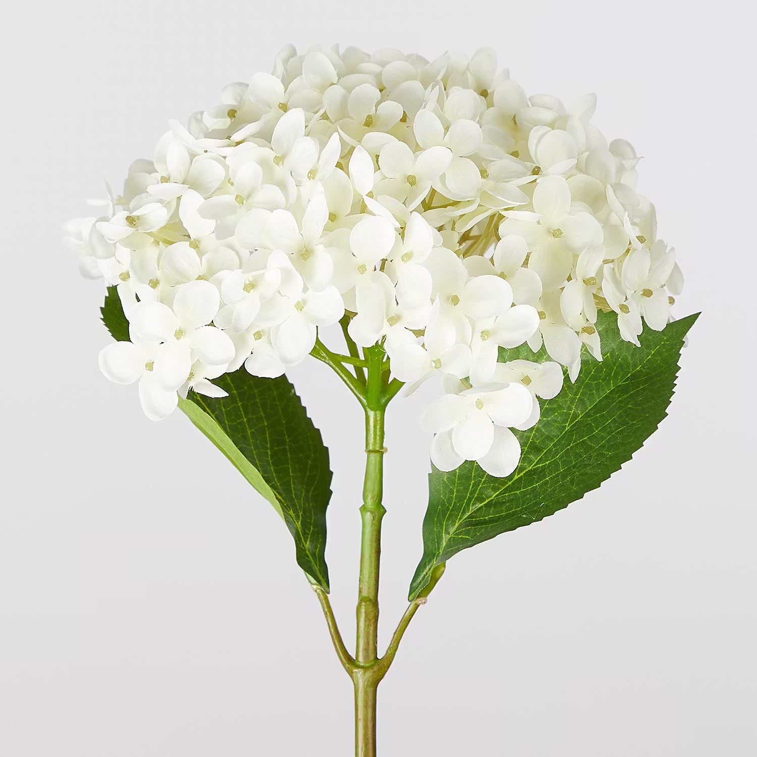 FLORISTA Kunstblume Hortensie 6er-Set