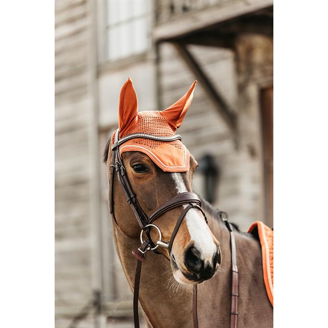 Oornetje Kentucky Wellington Velvet Oranje