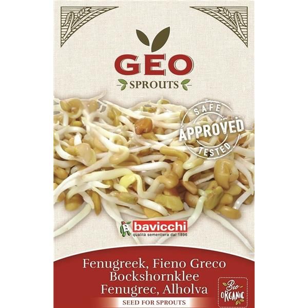 Feno-Grego - Sementes Para Germinar Bio
