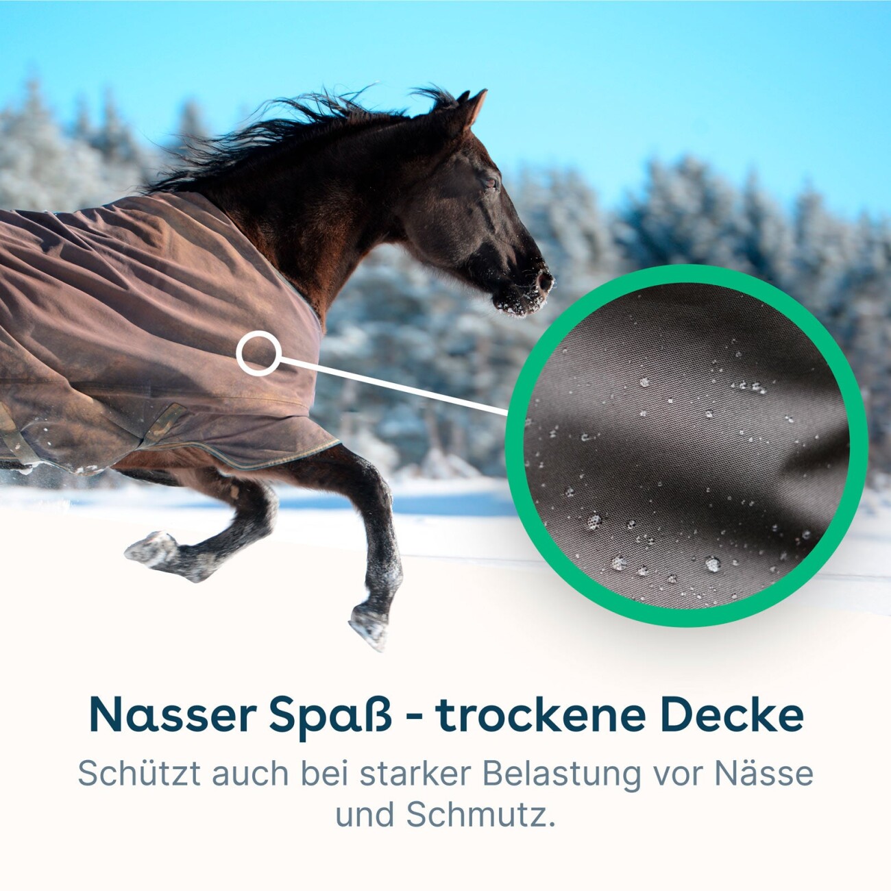 eco:fy Pferdedecken-Imprägnierspray