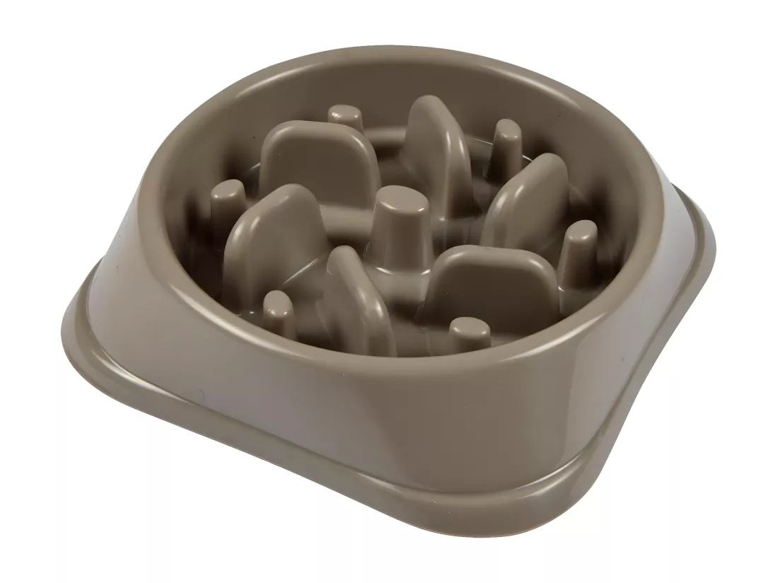 Gamelle pour Chien & Chat 