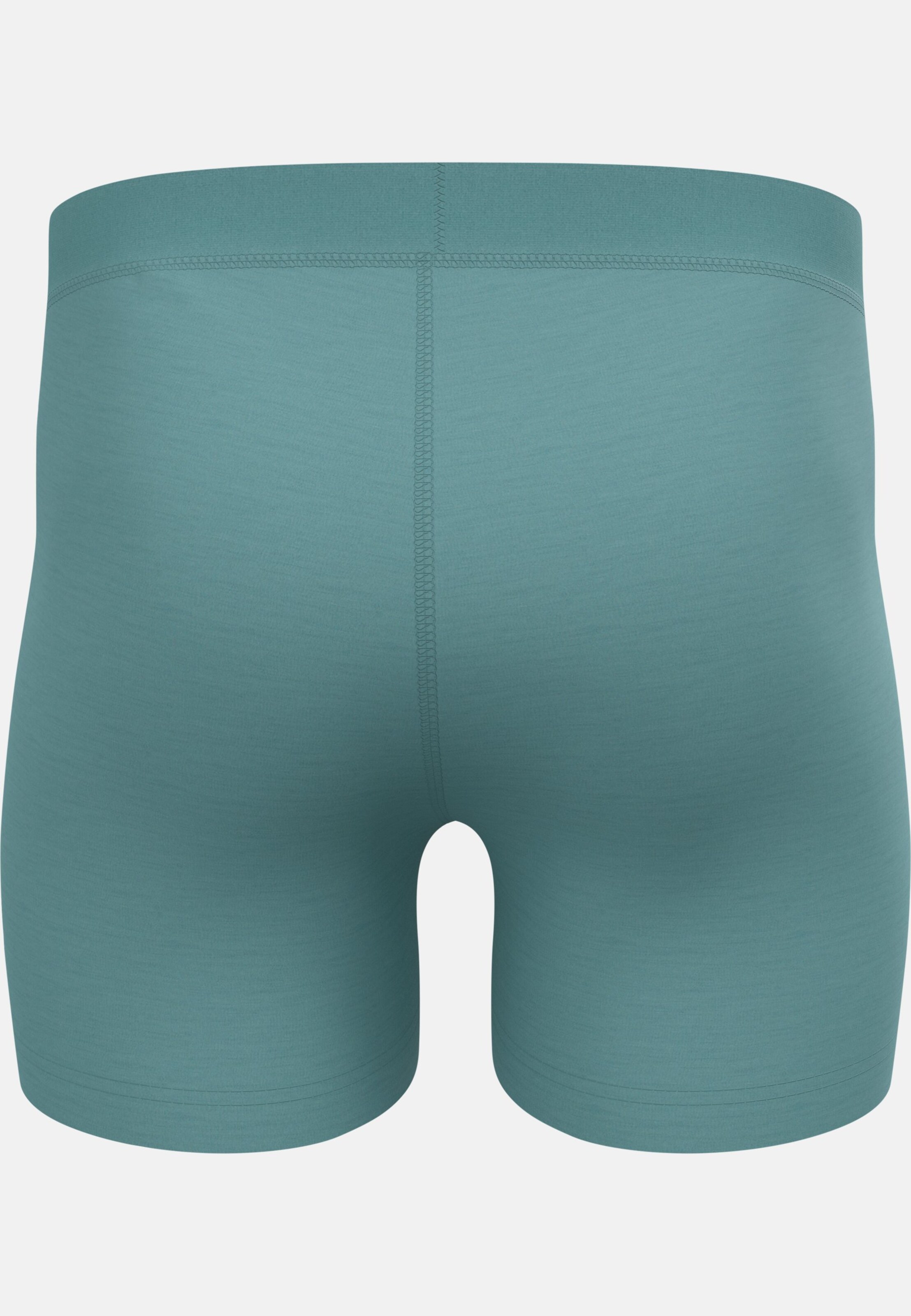 Natural Merino 160 Boxer in arctic