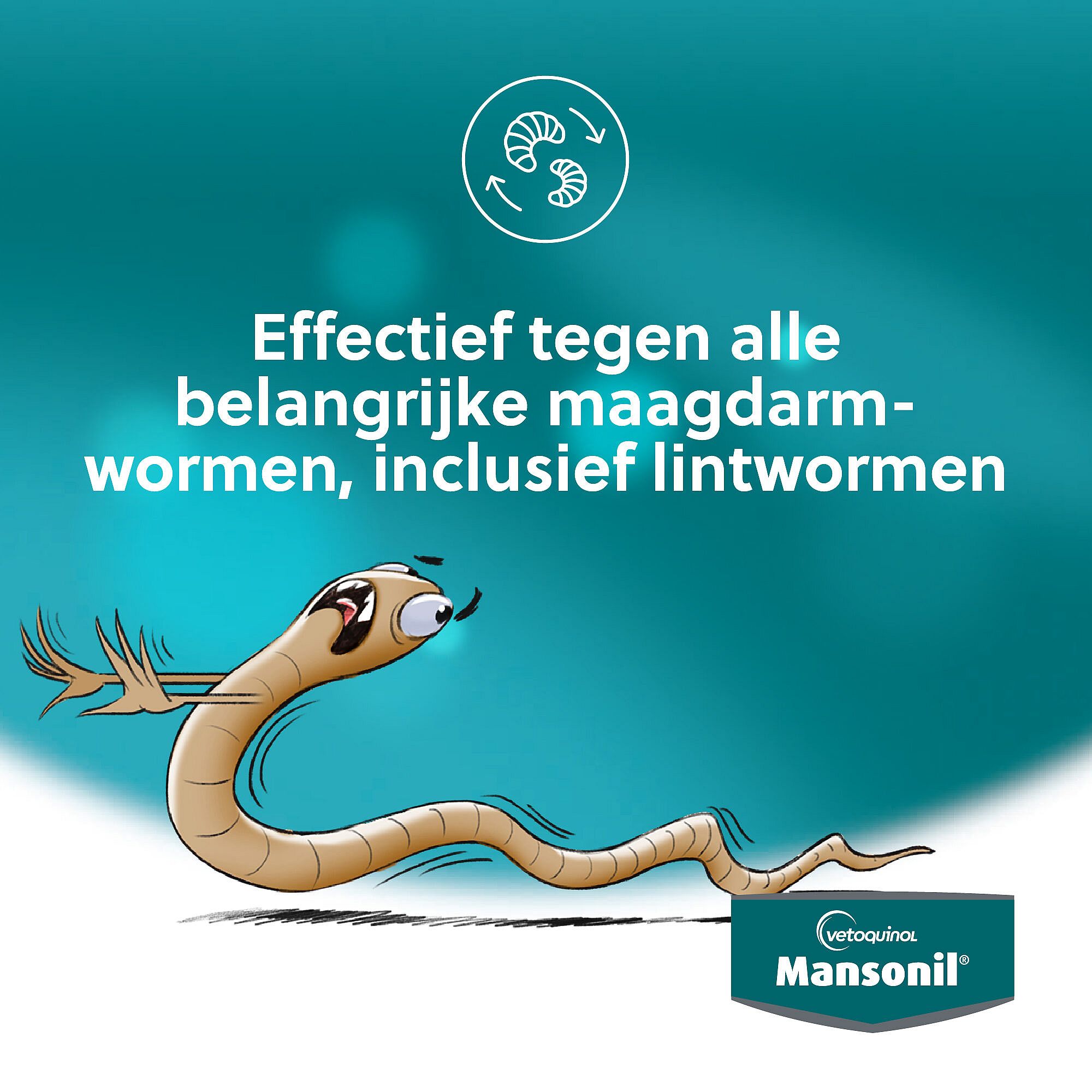 Mansonil All Worm Kat 2 tabletten