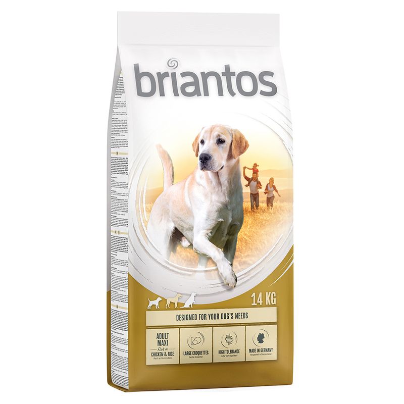 Briantos Adult Maxi, poulet & riz