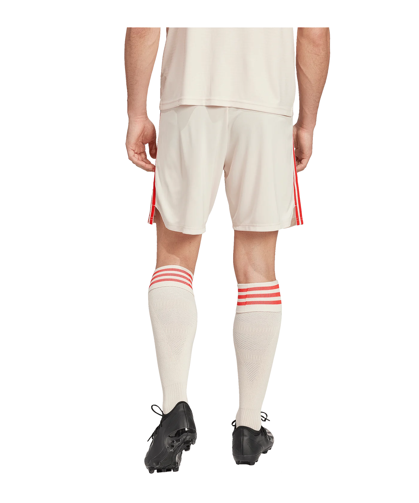 adidas Orignals FC Bayern München Short 3rd 2024/2025 Beige