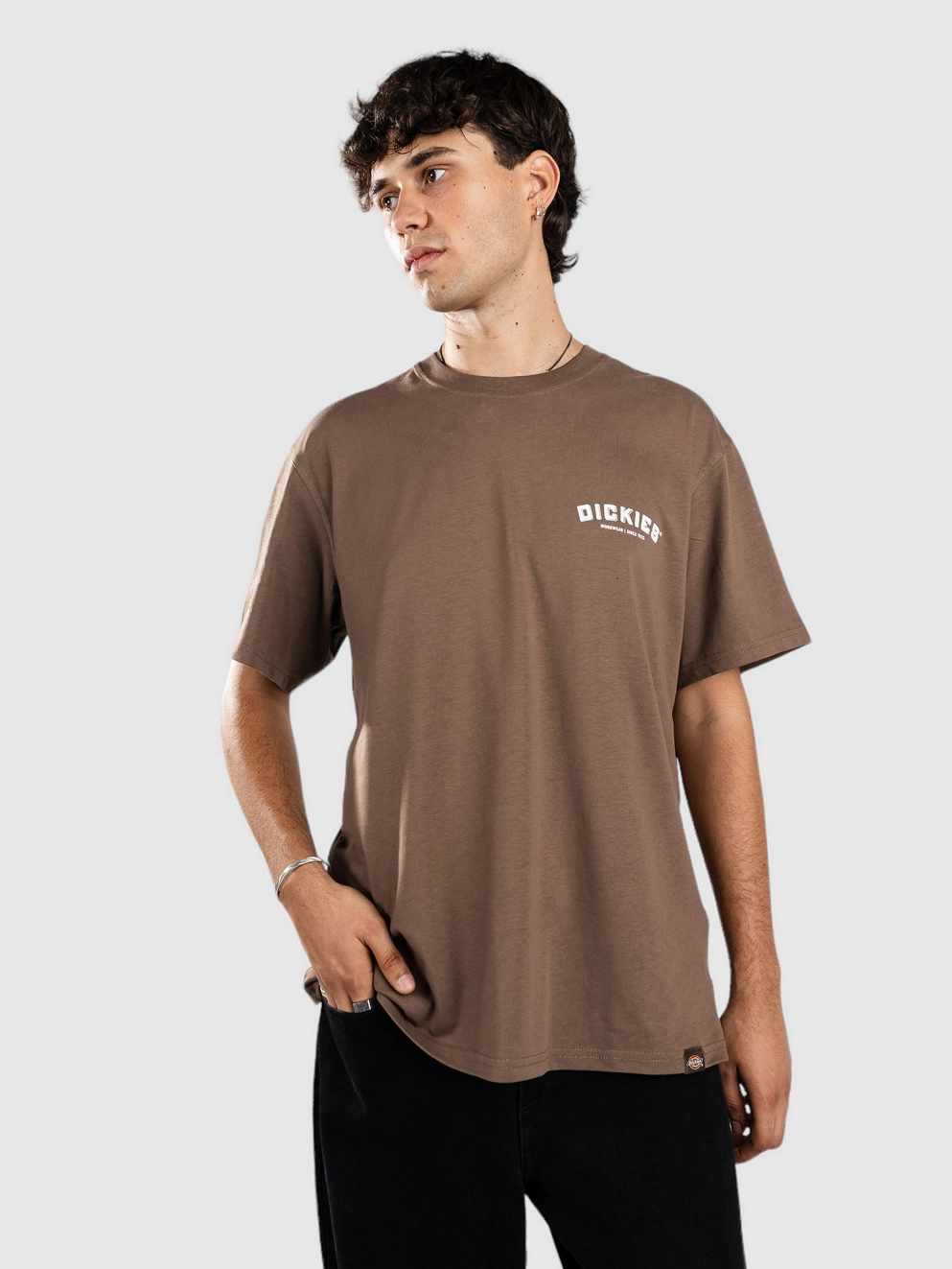 Dickies Builder T-Shirt mushroom