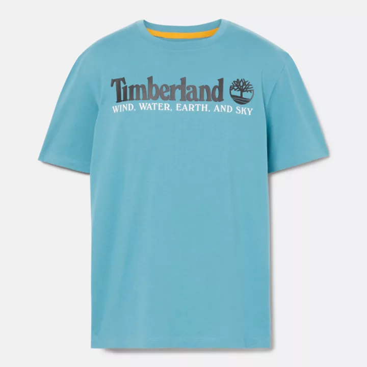Camiseta masculina azul com estampa de vento, água, terra e céu.