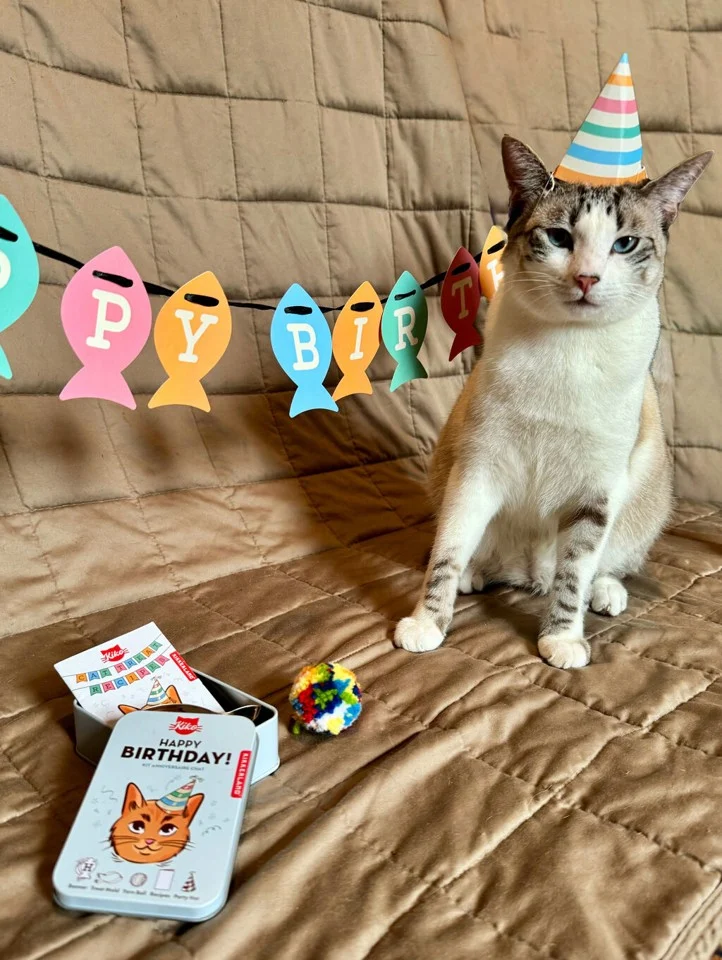 Happy Birthday Cat Tin