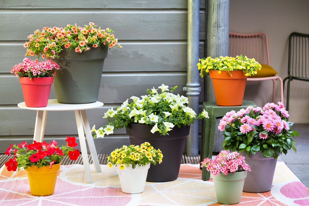 Easyday bloempot Smile zwart D 19,5 H 17,5 cm