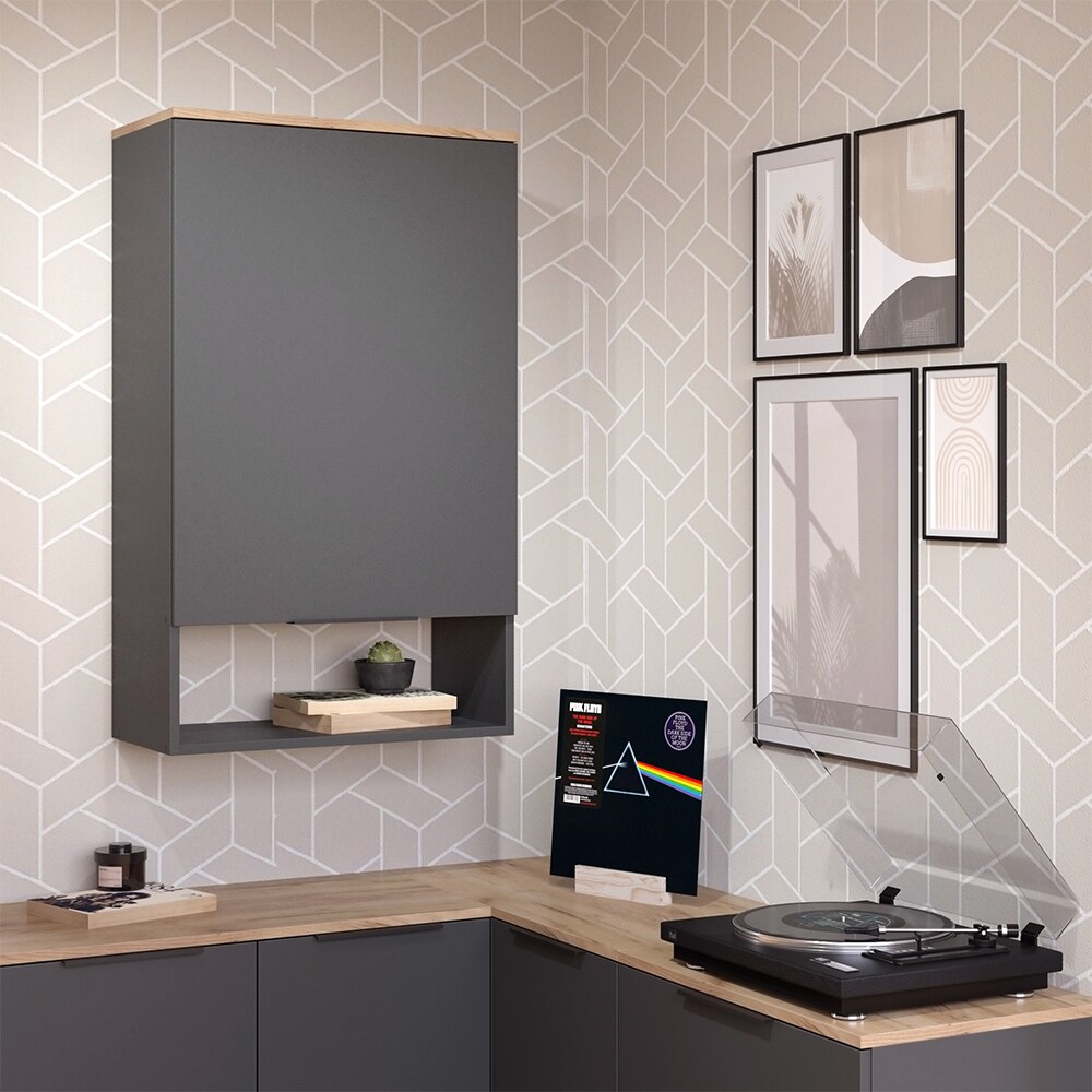 Vicco Hängeschrank Wido Anthrazit Eiche 60 x 100 cm mit Tür