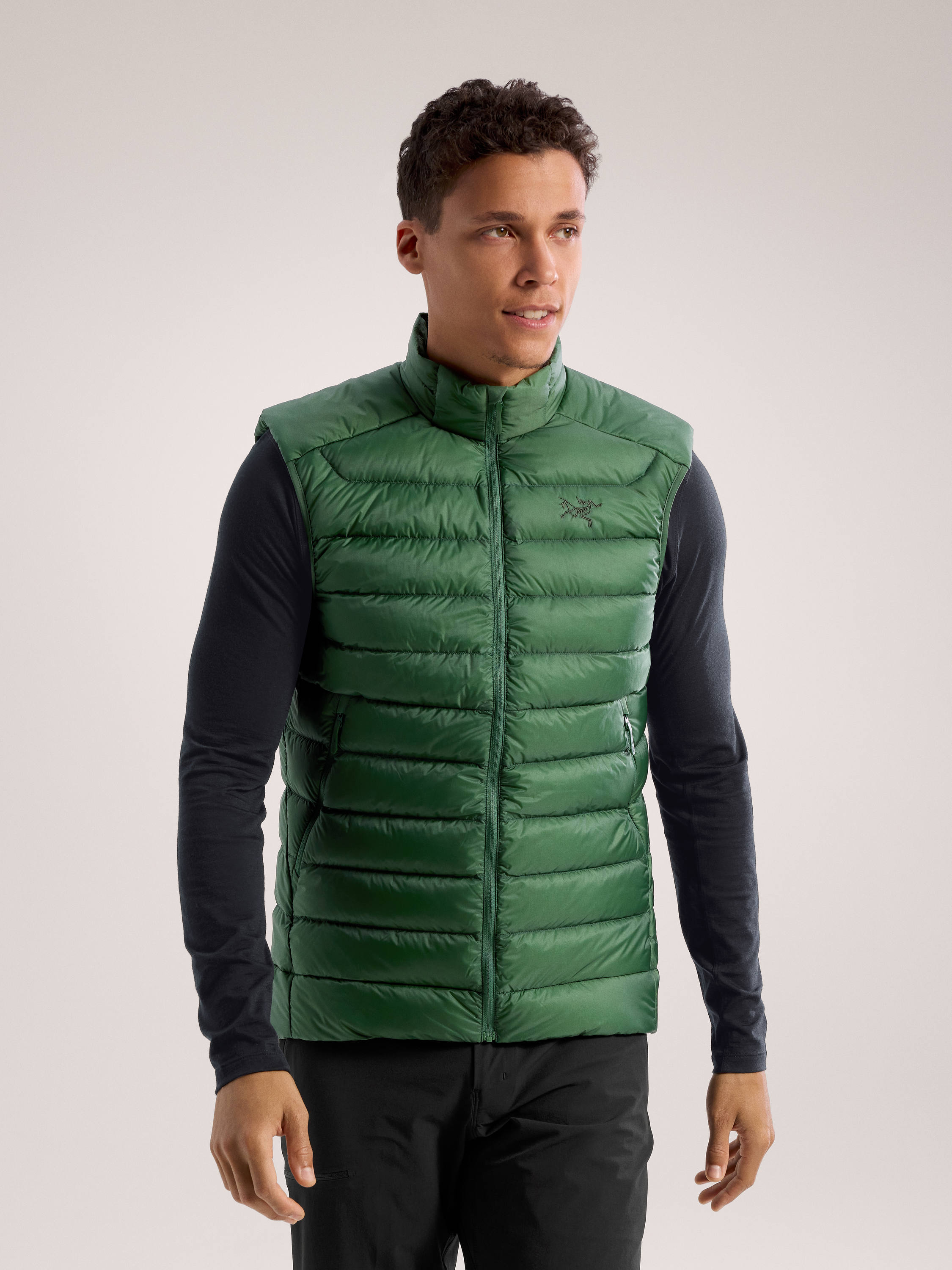 Arc'teryx Cerium Vest M's