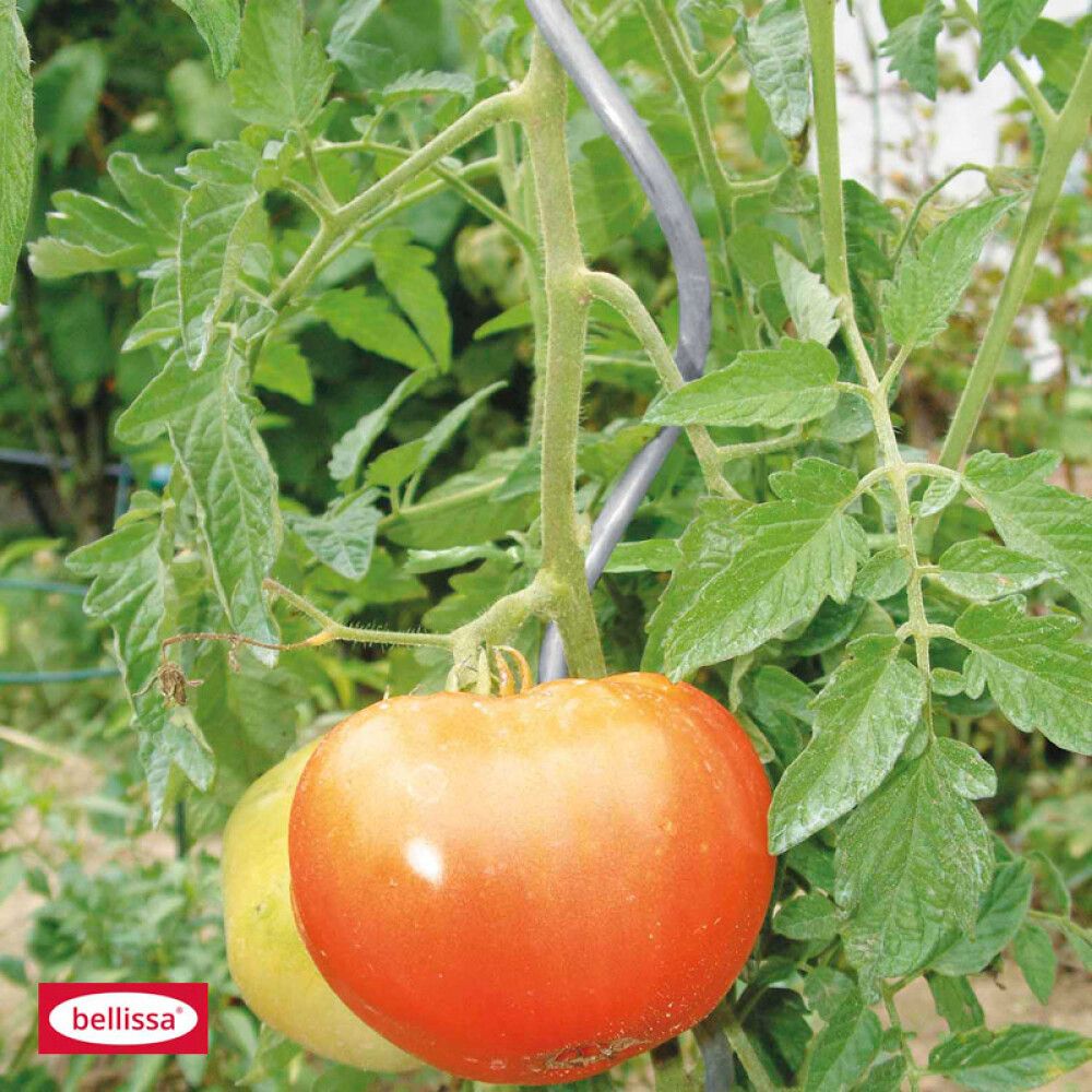 PLANTESTØTTE BELLISSA SPIRAL 200CM ALU