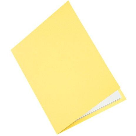 Chemises classiques 160 g Exacompta 24 x 32 cm couleurs assorties - Paquet de 100