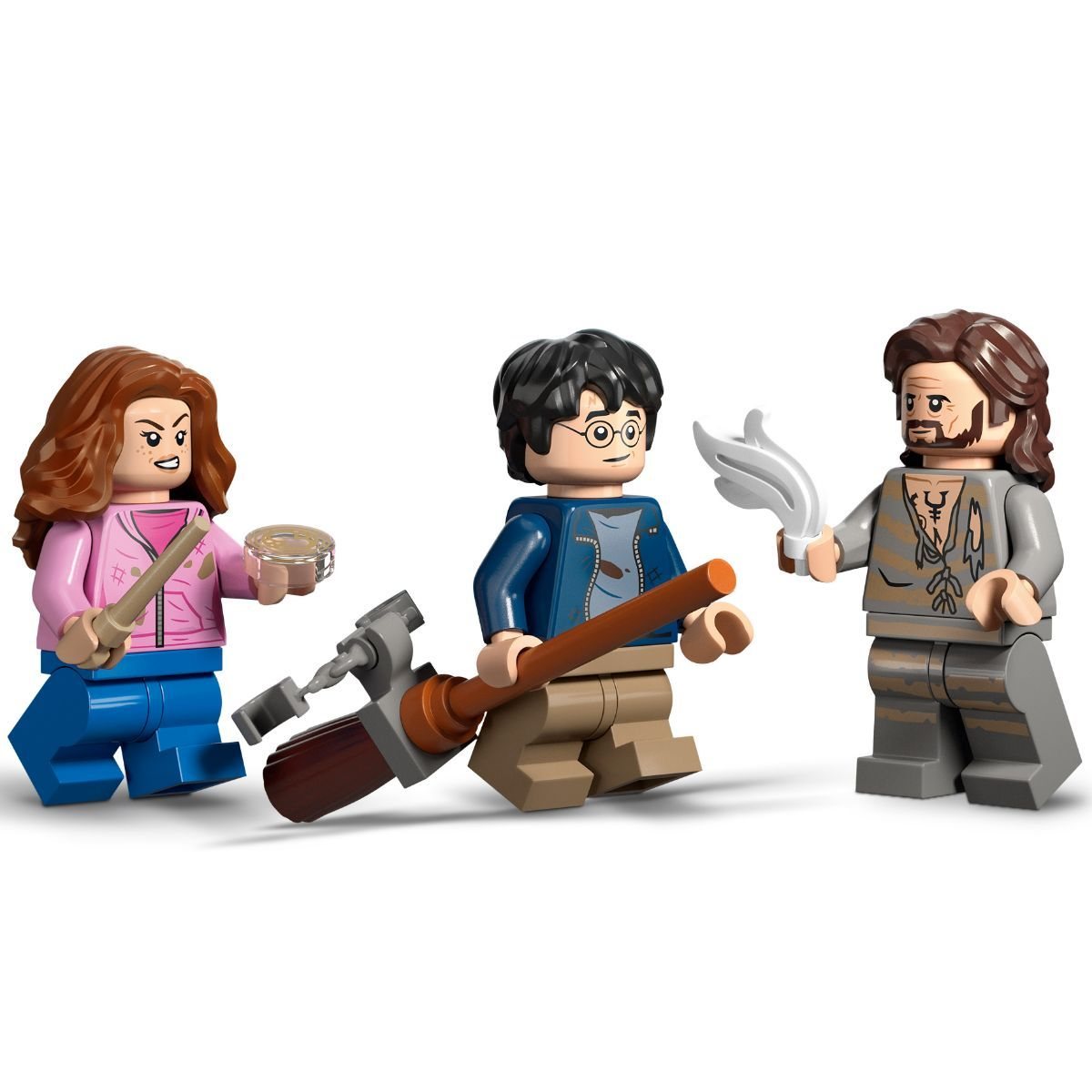 LEGO Harry Potter Hogwarts Courtyard: Sirius