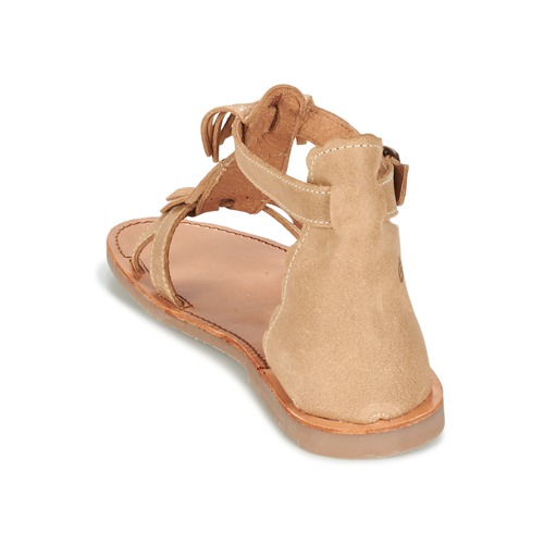 Citrouille et Compagnie - GAMELA - Camel