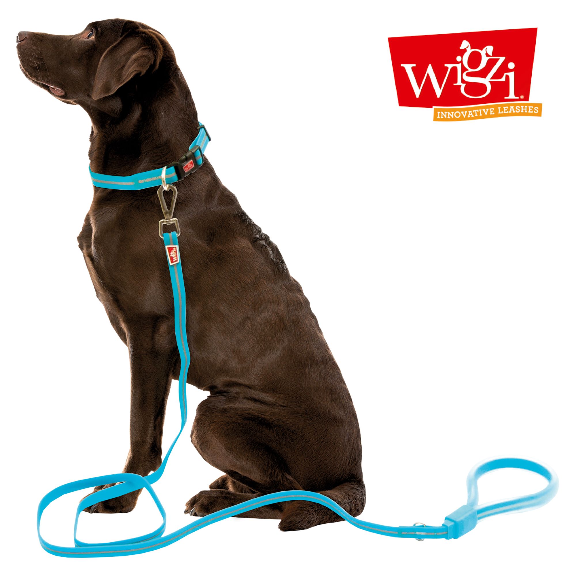 Wigzi Leine NEON Grün180 cm lang in Neonfarben mit Reflexstreifen pflegeleicht