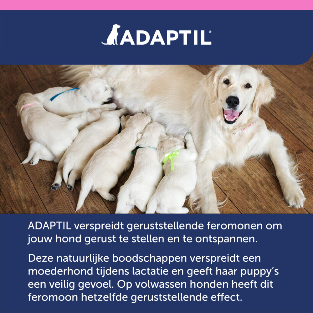 Adaptil Anti-stress Halsband Junior