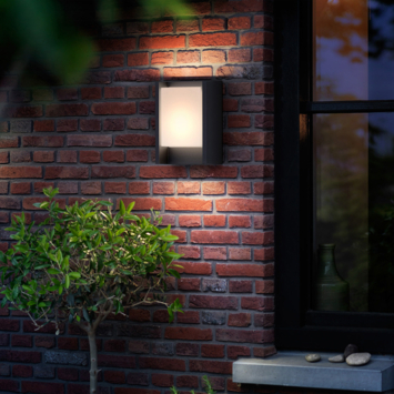 Philips wandlamp Arbour