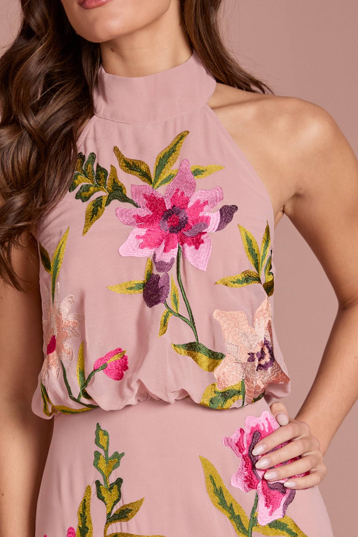 Coast Robe Midi À Col Montant Avec Broderie Florale