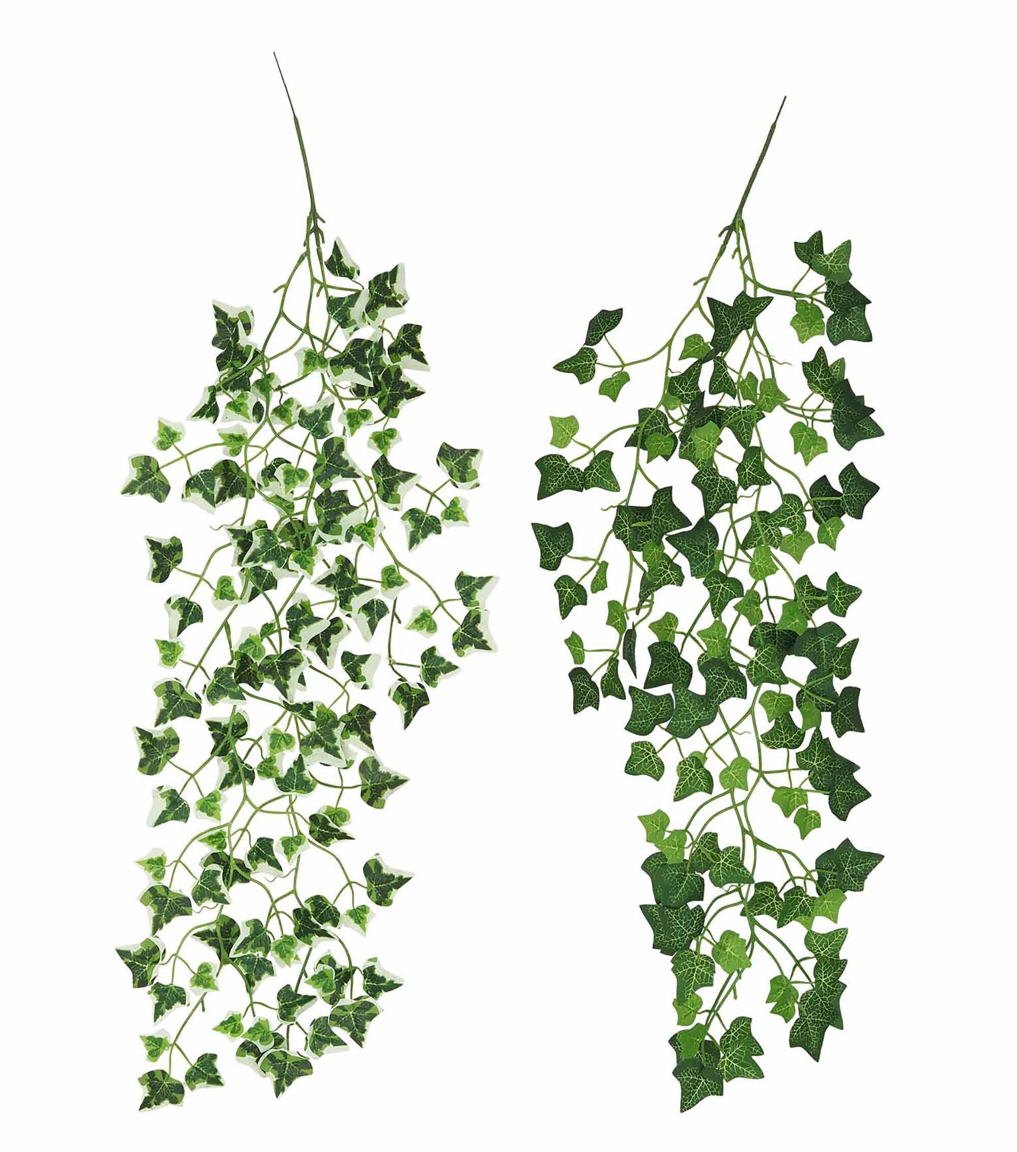 CHUTE LIERRE H.80CM VERT