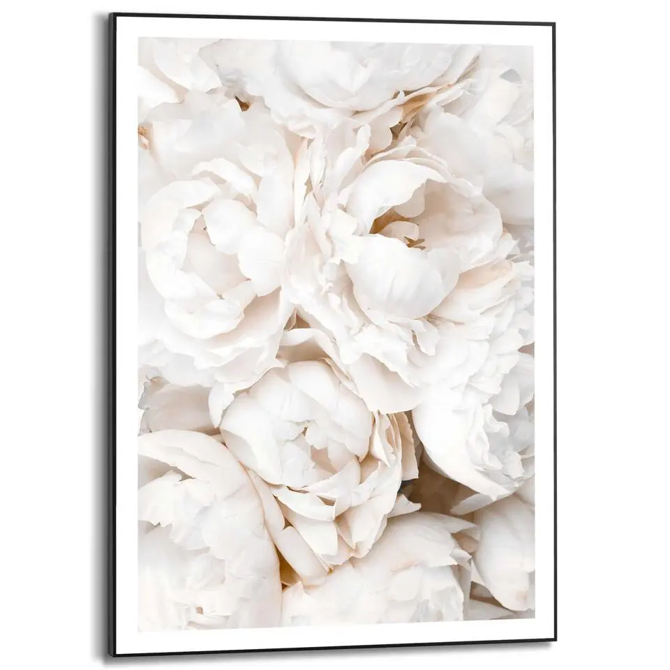Schilderij Witte rozen - 70x50cm - Wit