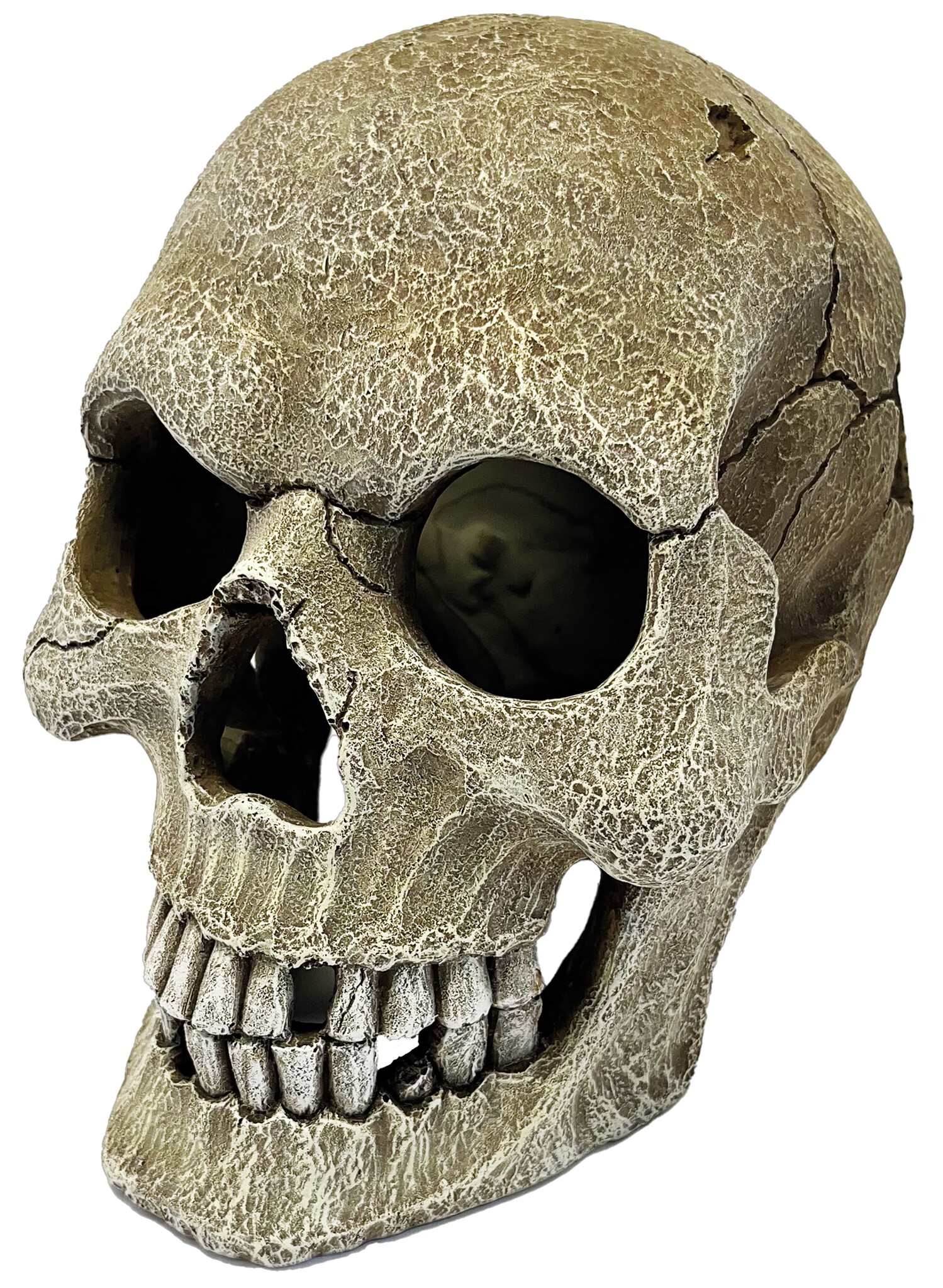 Repto Terrarium Deco Schedel XL
