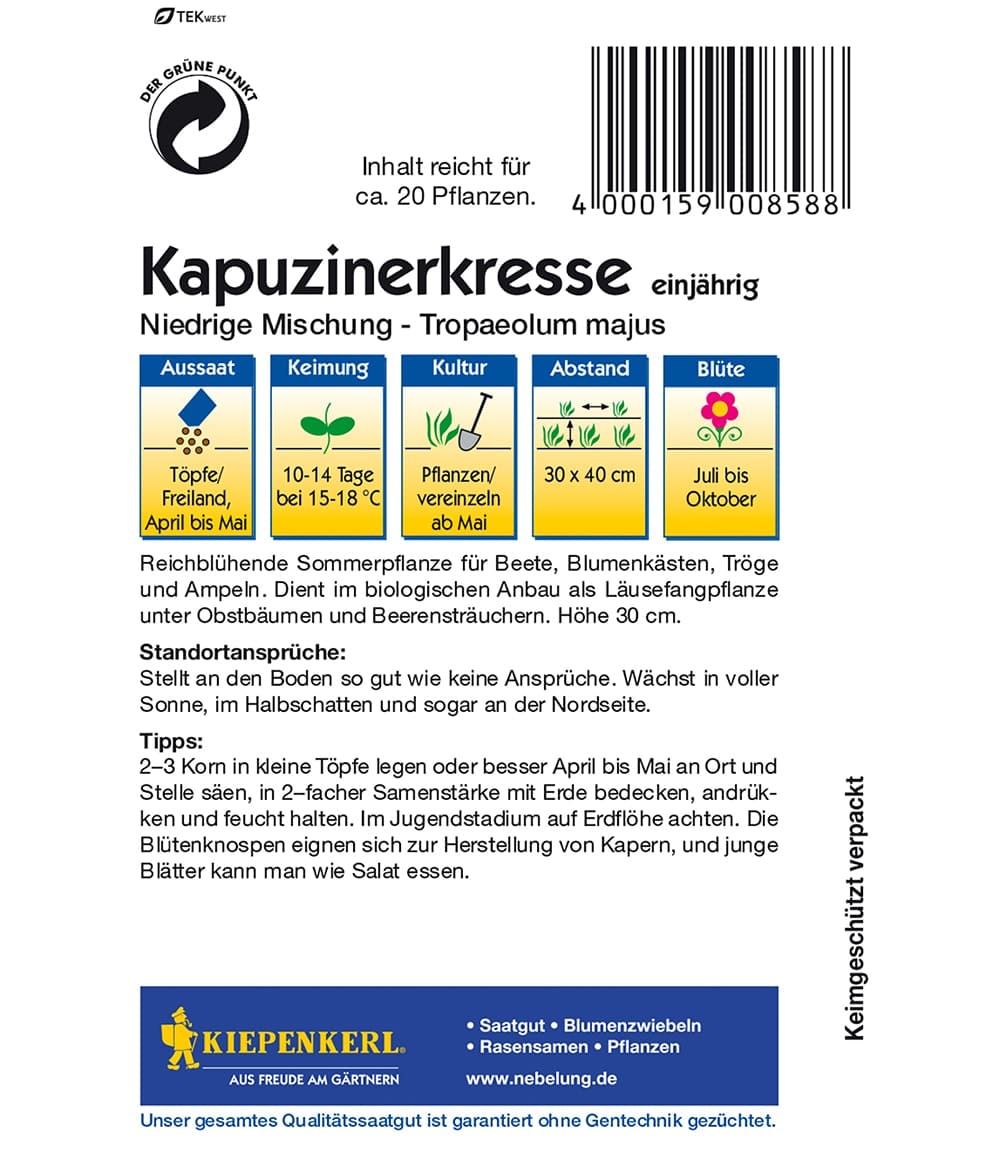 Kapuzinerkresse 'Niedriger Mix'