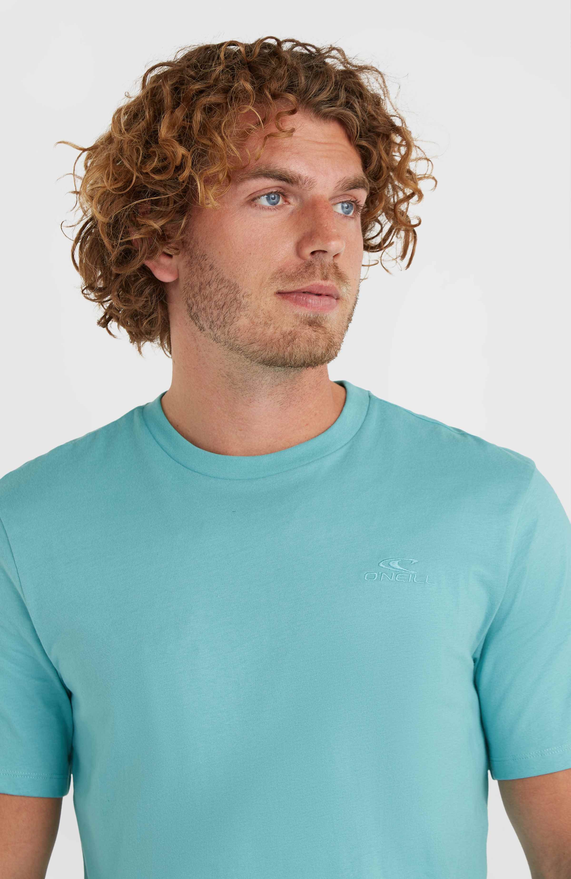 Small Logo T-shirt O`Neill Turkoois